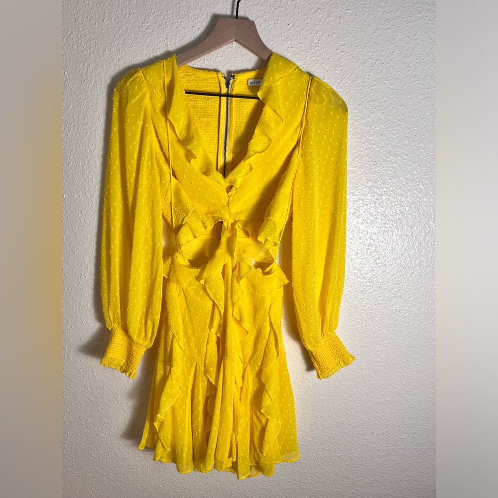 Alice and Olivia Dress